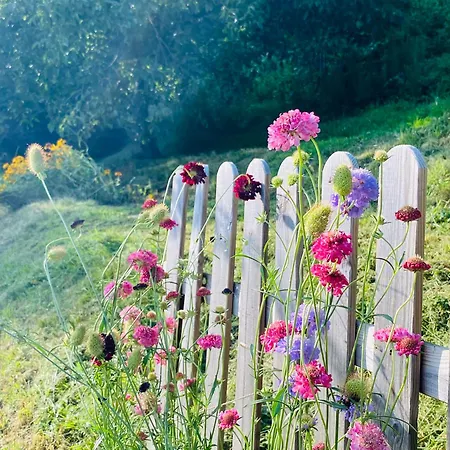 La Quercia E Lo Scoiattolo Sotto il Monte