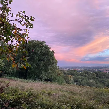 La Quercia E Lo Scoiattolo * Sotto il Monte