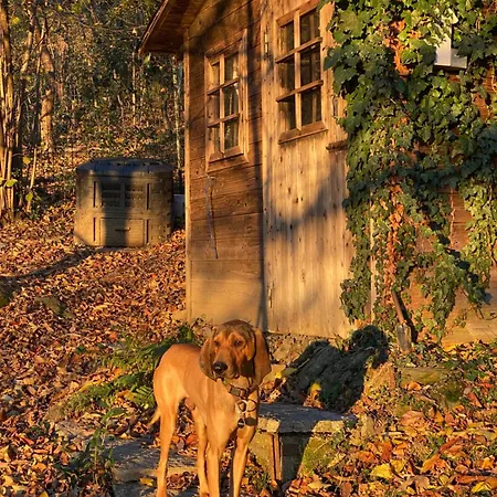 Bed & Breakfast La Quercia E Lo Scoiattolo *