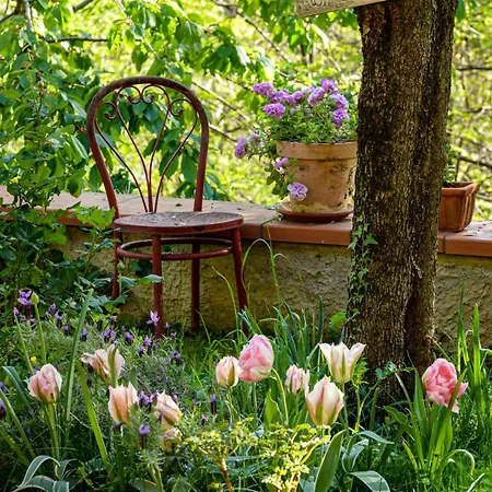La Quercia E Lo Scoiattolo Bed & Breakfast Sotto il Monte