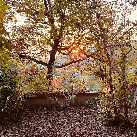 La Quercia E Lo Scoiattolo Sotto il Monte