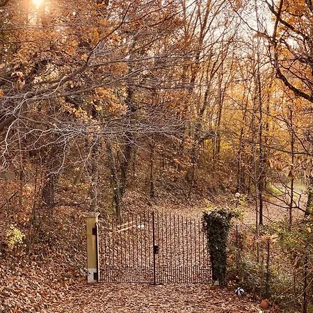 La Quercia E Lo Scoiattolo