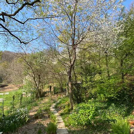 La Quercia E Lo Scoiattolo B&B
